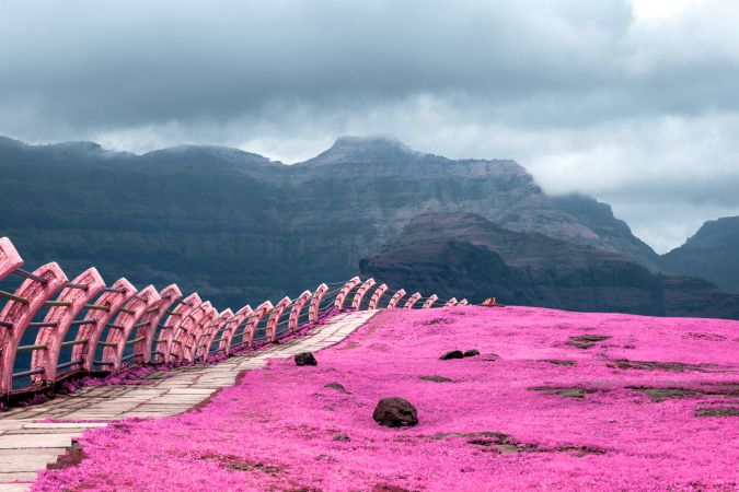 Beautiful infrared landscape of the green fields and hills at Malshej Ghat in Maharashtra, India