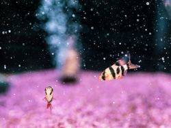 Exotic fish in aquarium