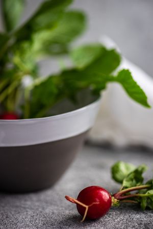 Bowl of tops of fresh radishes