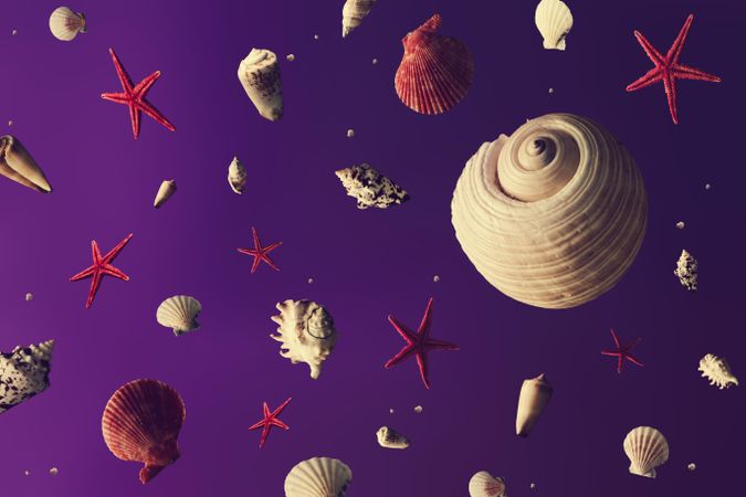 Space scene with seashells as stars and planets on purple background
