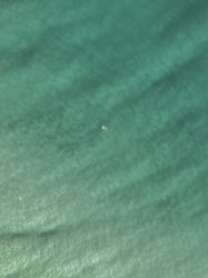 Top view of blue green ocean water in Australia