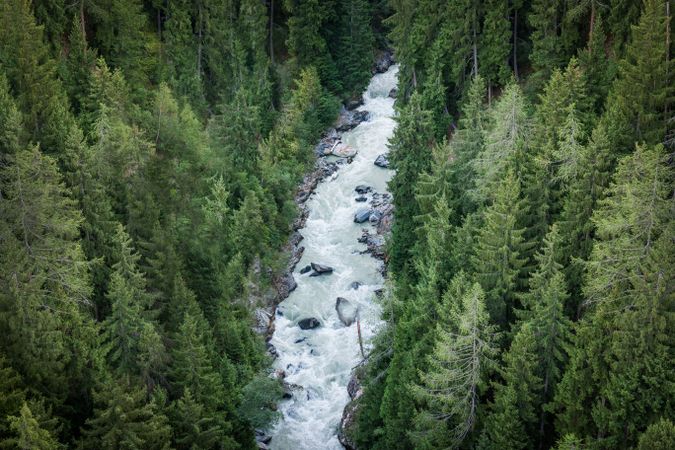 Stormy mountain stream flowing through dense forest