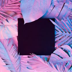 Tropical and palm leaves in vibrant bold gradient holographic colors with dark square