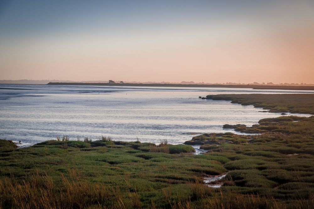 Marshy embankment of small body of water looking out to the distance