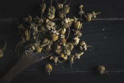 Spoonful of dried chamomile on wooden table