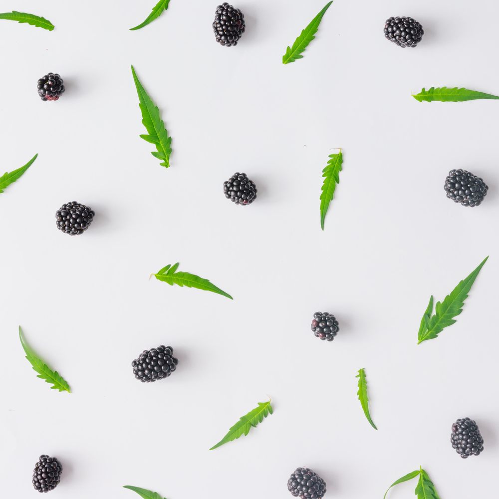 Pattern of blackberry fruit and leaves on light background