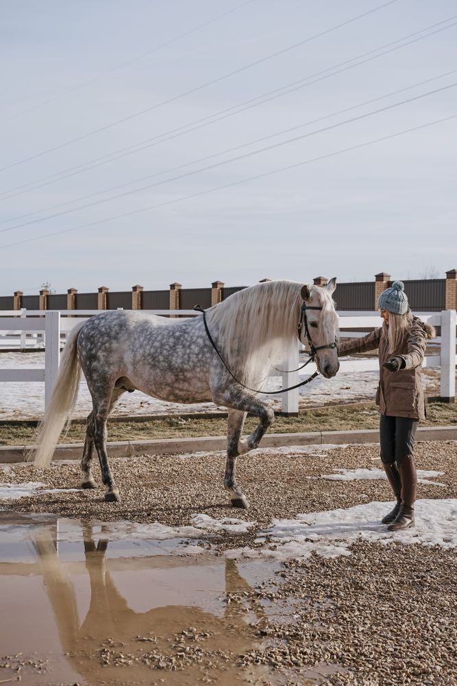 Warm dressed woman with gray horse outside