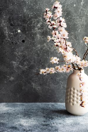 Spring floral concept with apricot blossom in modern vase on grey room