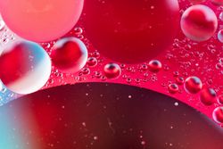 Abstract blue and red water bubbles