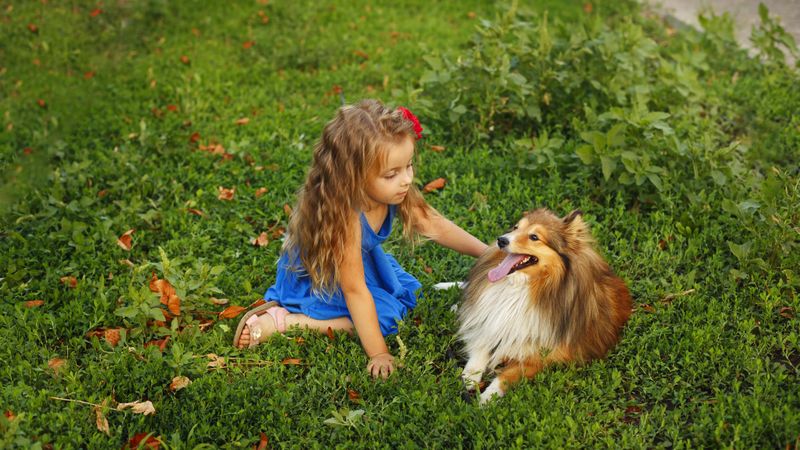 Female child in blue dress petting dog in the grass
