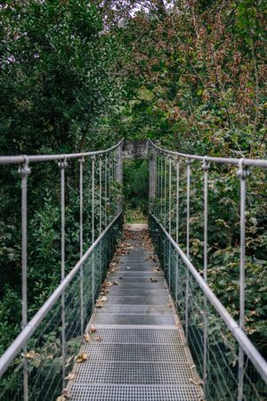 Hanging metal bridge through bushy forest