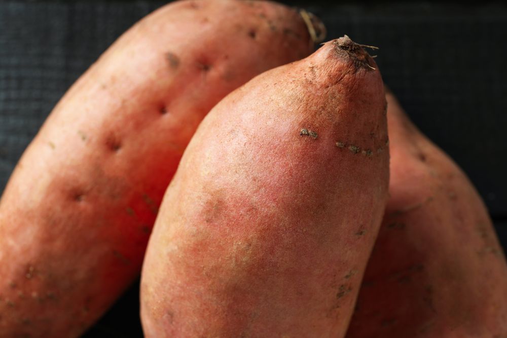Concept of vegetables, tasty sweet potato, Batat