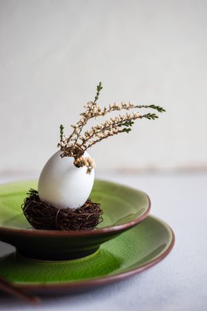 Side view of delicate nest with decorative egg with branch on green plate