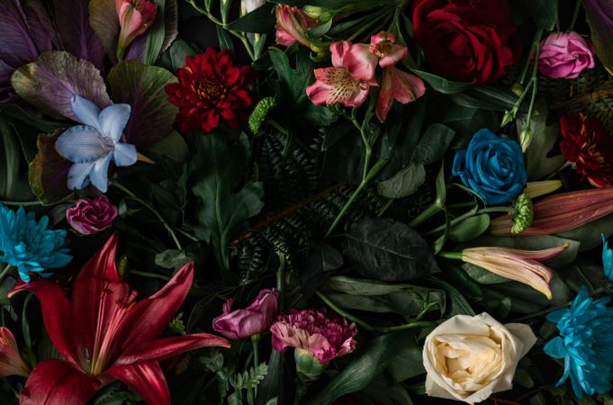 Colorful spring flowers of red, blue, pink, cream on dark background
