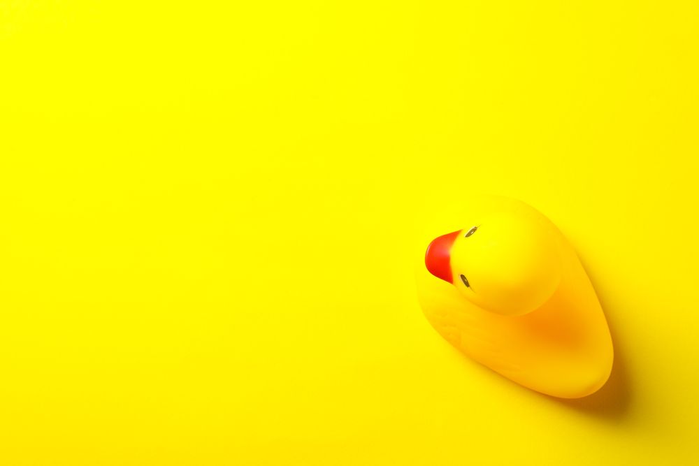Rubber duck on yellow background, space for text