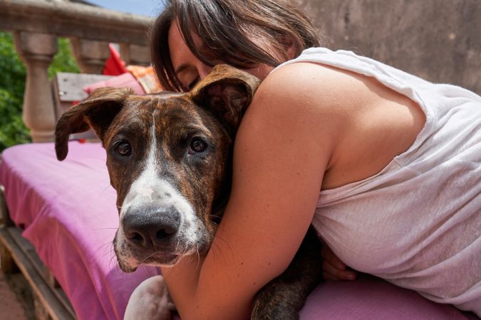 Young female lying on camp cot and hugging purebred dog