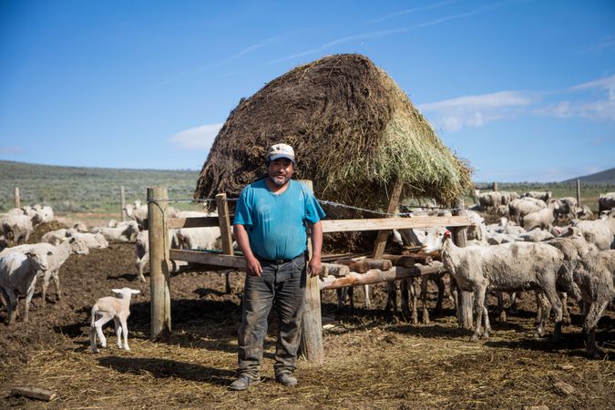 Peruvian sheepherder Pepe Cruz tends to the flock at a ranch in Carbon County, Wyoming