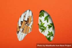 Lung shape cut out of orange paper with cigarettes and foliage 4NAyD5