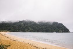Sandy beach and green forest in Pancake Rocks