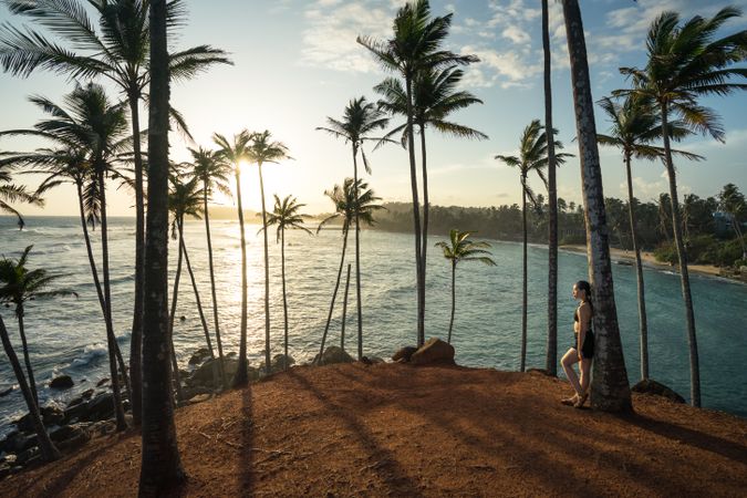 Tranquil female traveler among palms at seashore
