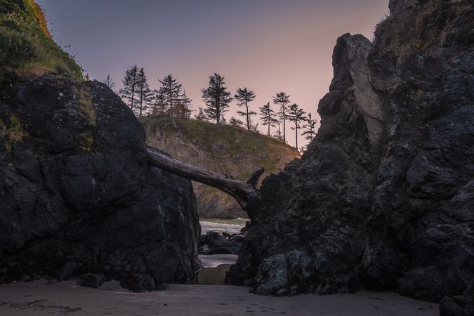 Trees and rock pools in late afternoon