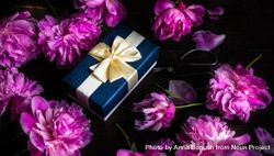 Blue gift box surrounded by peonies 4Odrnj