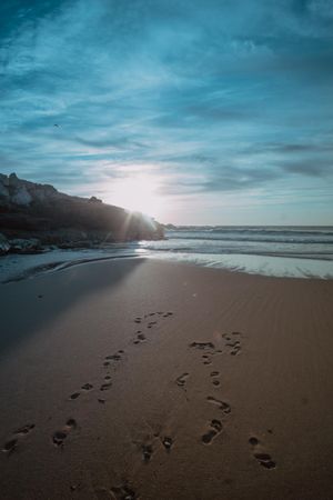 Human footprints on sandy shore