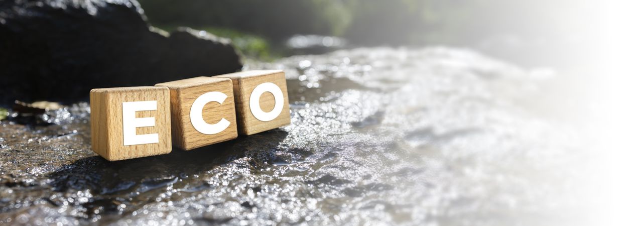 Embracing Ecology Strength in Sustainability banner
