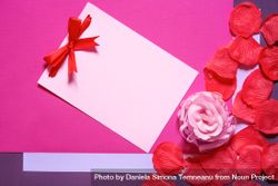 Rose petals and a cute blank message card 56Erj0