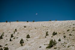 Landscape with hill and moon in blue sky