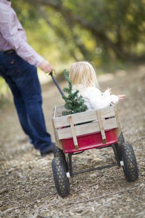 Father Pulls Baby Girl in Wagon with Christmas Tree