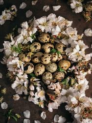 Heap of quail eggs with flowers on table