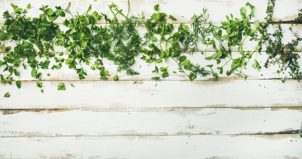 Healthy vegetarian cooking concept with copy space