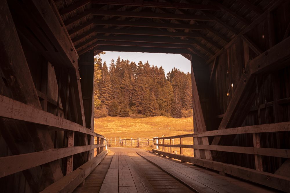 View of trees on mountains at end of square barn