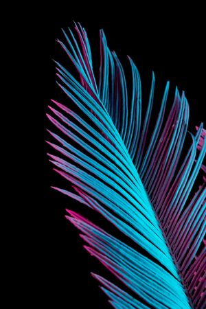 Tropical palm leaf in vibrant bold gradient blue and pink holographic neon  colors