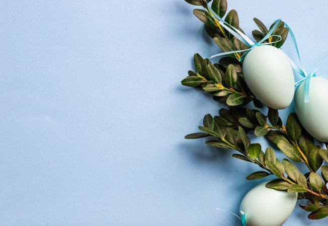 Easter holiday card concept with eggs and branch on pastel blue background