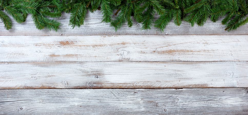 Christmas evergreen branches on vintage wooden boards