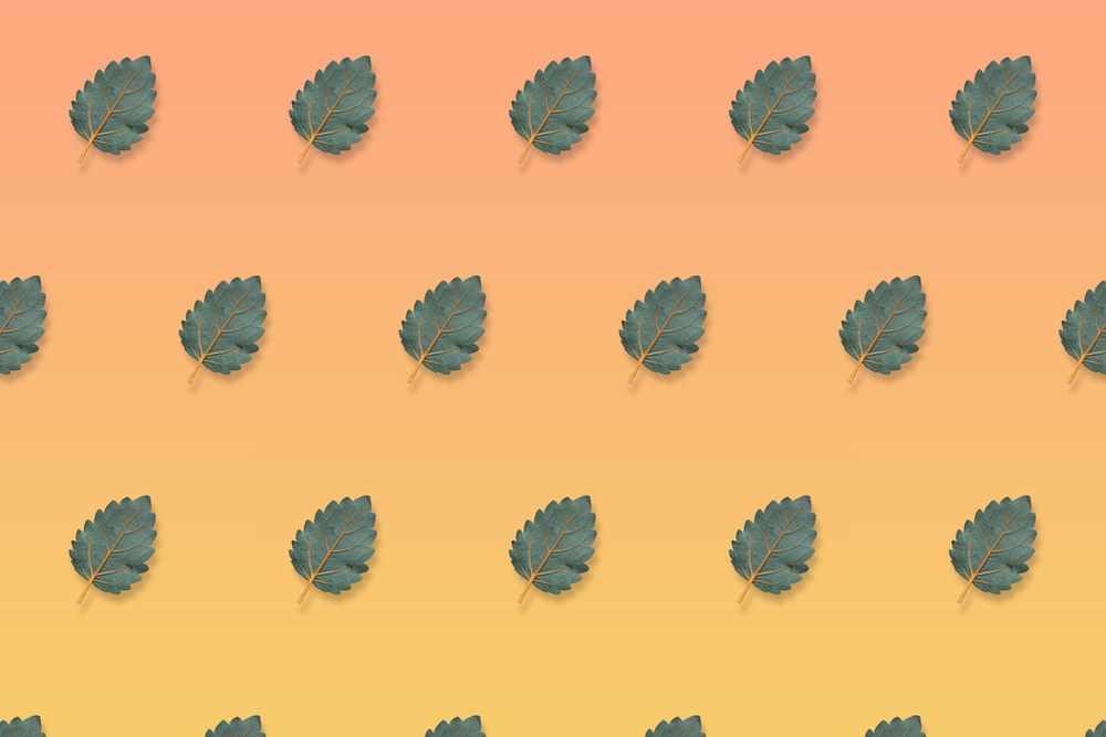 Pattern of green leaves