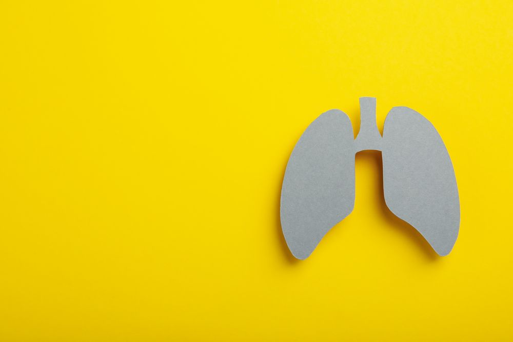 Grey paper lungs on yellow background with copy space