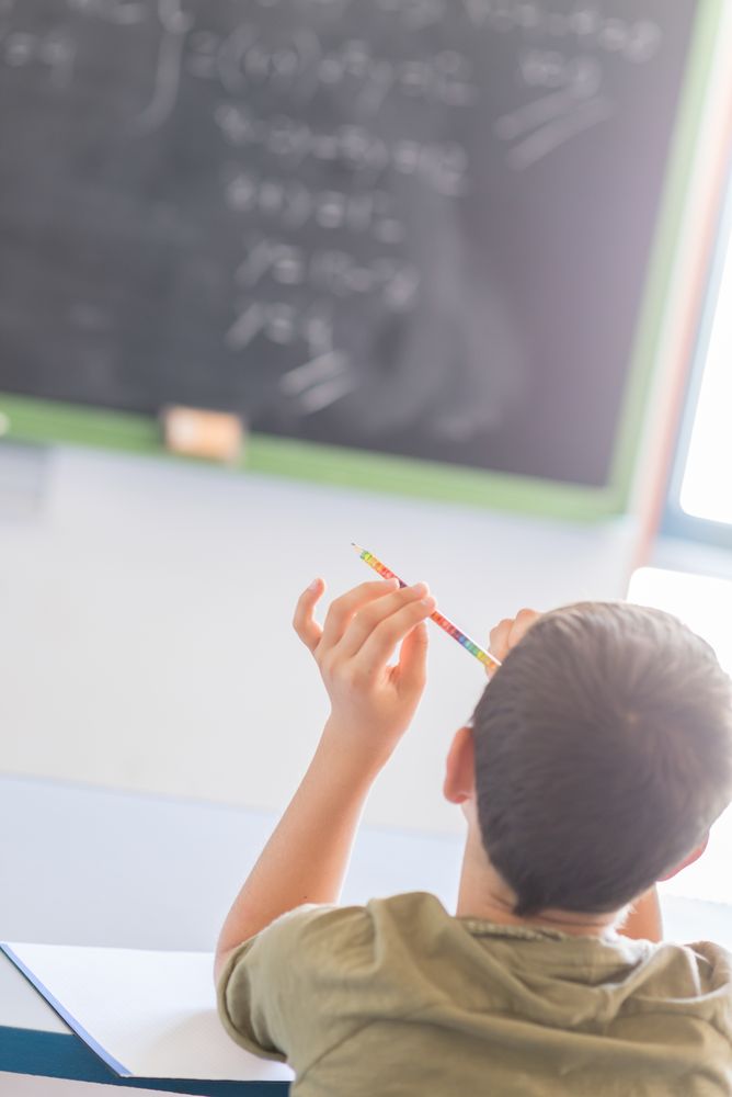 Back of male student sitting in class looking at board