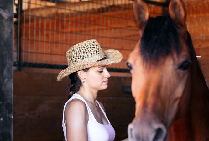 Woman taking care of his brown horse in the stable