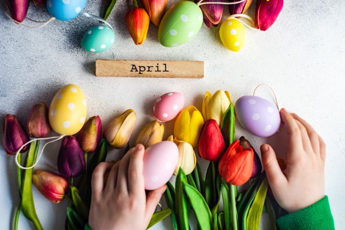 Flat lay of hands on tulips and egg decorations for spring