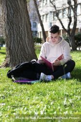 Young male student sitting under tree studying with his notes 4BaJ6d
