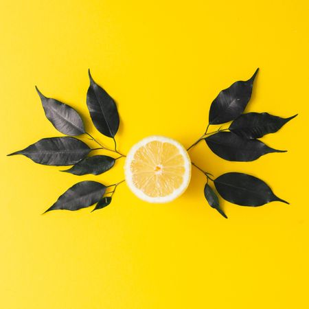 Lemon and dark leaves on yellow background