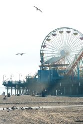 Ferris wheel at summer seaside