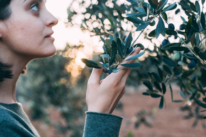 Woman looking at olive tree branches