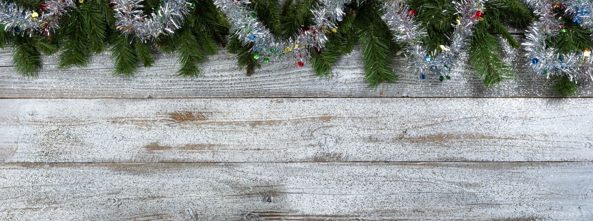 Evergreen branches with tinsel for Christmas or New Year holiday background in top border format