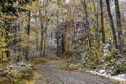 Snowy Savanna Lake Road in Savanna Portage State Park in McGregor, Minnesota