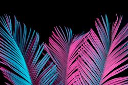 Tropical palm leaves in vibrant bold gradient blue and pink holographic neon  colors