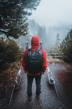 Back view of person in red jacket with backpack walking in the woods